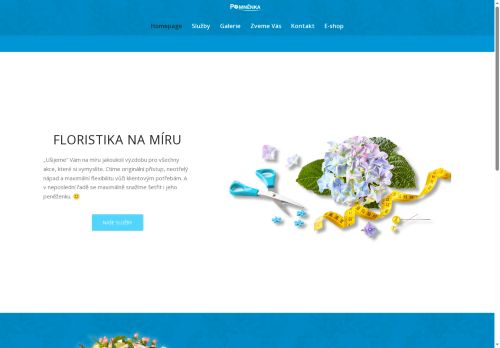 POMNĚNKA 21 a.s. nabízí práci na pozici Maséři (kromě odborných masérů ve zdravotnictví) v obci Poděbrady