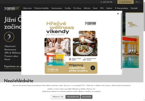 Webové stránky RUBILIS, s.r.o., Březnice