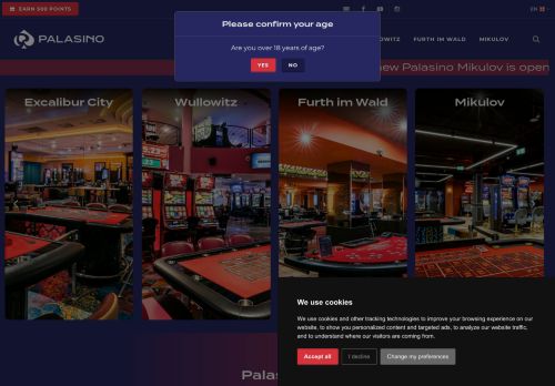 Webové stránky Palasino Group, a.s., Chvalovice