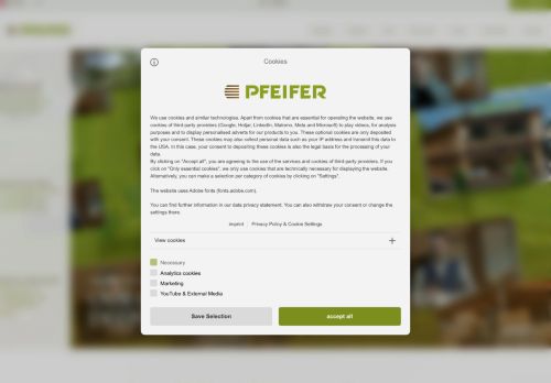 Webové stránky Pfeifer Holz s.r.o., Chanovice