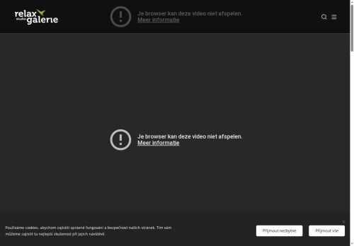 Webové stránky LENEVA s.r.o., Plzeň