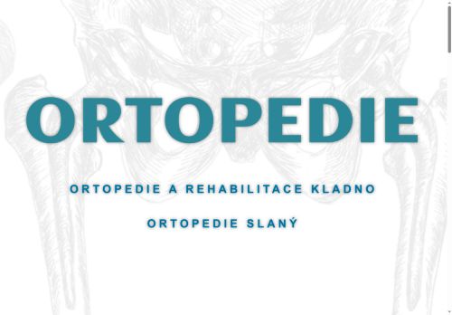 Zobrazit webové stránky Ortopedie - MUDr. Tomáš Vimmer, MUDr. Ivan Leška, MUDr. Jiří Boleslav