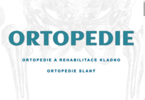 Zobrazit webové stránky Ortopedie - MUDr. Tomáš Vimmer, MUDr. Ivan Leška, MUDr. Jiří Boleslav