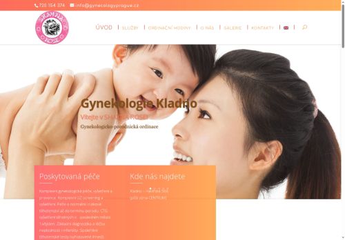Zobrazit webové stránky Gynekologie SHAYNA ROSE s.r.o. - MUDr. Fara Mc Bride