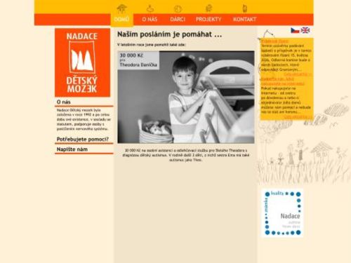 Nadace Dětský mozek