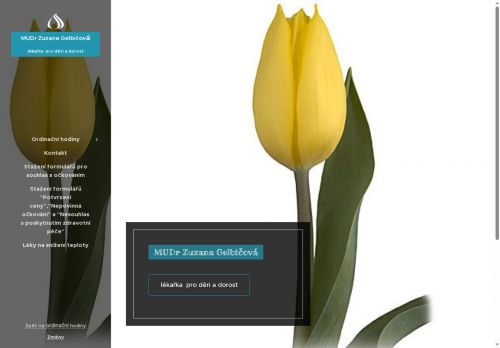 Zobrazit webové stránky Praktický lékař pro děti a dorost - MUDr. Zuzana Gelbičová