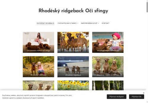 Zobrazit webové stránky Rhodéský ridgeback, Rhodéský ridgeback štěňata