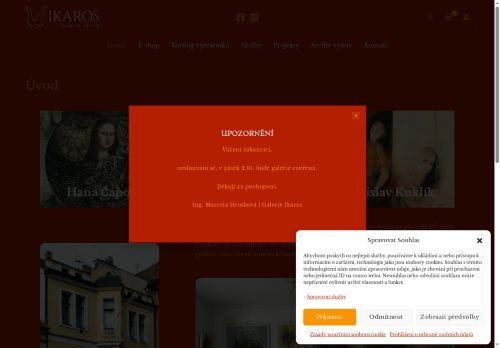 Zobrazit webové stránky Galerie Ikaros