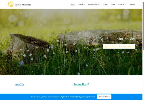 Zobrazit webové stránky Access Alexandra