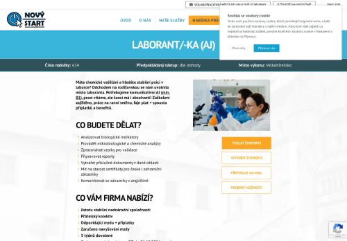 Webové stránky NOVÝ START, personální agentura s.r.o., Velká Bíteš