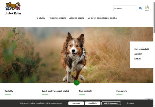 Zobrazit webové stránky Psí útulek Kolín