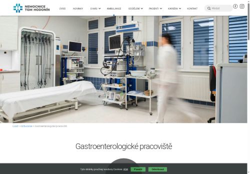 Zobrazit webové stránky Gastroenterologie Nemocnice TGM Hodonín
