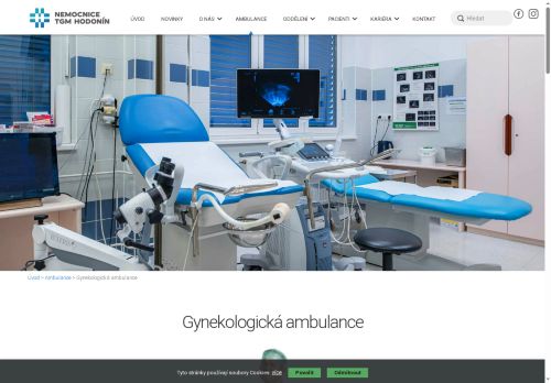 Zobrazit webové stránky Gynekologická ambulance - Nemocnice TGM Hodonín