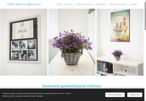 Zobrazit webové stránky Gynekologická ambulance - MUDr. Martina Ježková