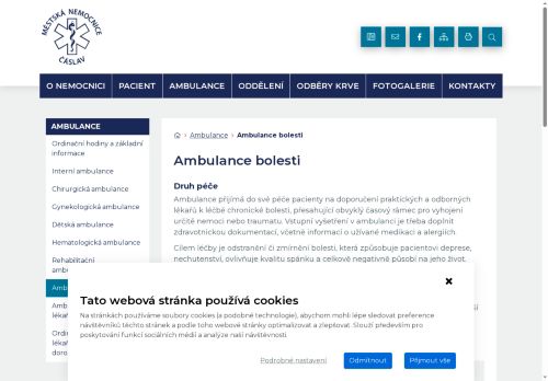 Zobrazit webové stránky Ambulance bolesti - Městská nemocnice Čáslav - MUDr. Josef Domácí