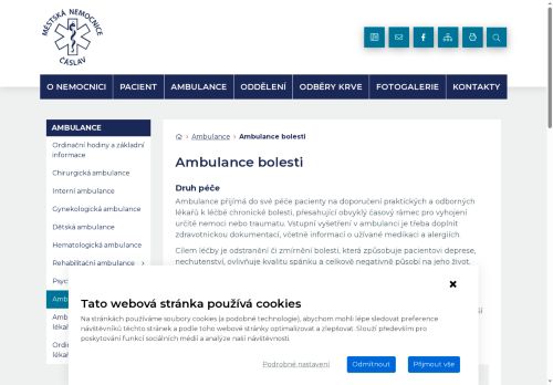 Zobrazit webové stránky Ambulance bolesti - Městská nemocnice Čáslav - MUDr. Josef Domácí