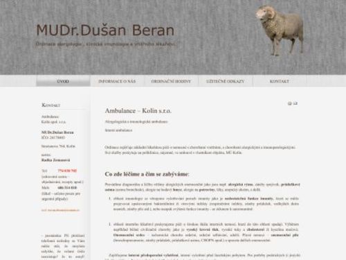 Alergologická, imunologická a interní ambulance - MUDr. Dušan Beran