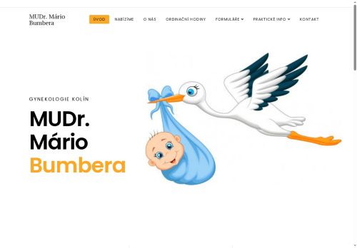 Zobrazit webové stránky Gynekologie - MUDr. Mário Bumbera