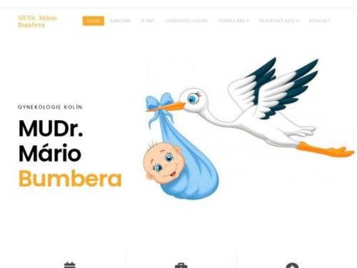 Gynekologie - MUDr. Mário Bumbera