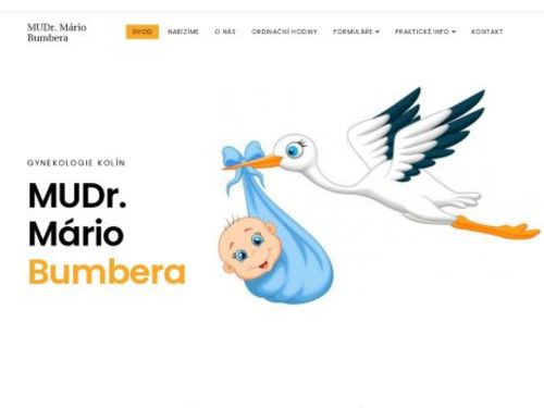 Gynekologie - MUDr. Mário Bumbera