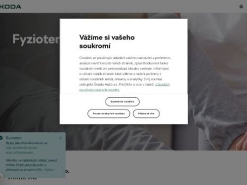 Fyzioterapie - Poliklinika Škoda