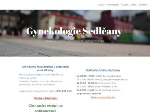Gynekologická ambulance - MUDr. Jan Rapsa