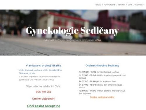 Gynekologická ambulance - MUDr. Jan Rapsa