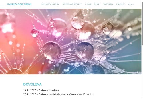 Zobrazit webové stránky Ambulance gynekologie a porodnictví - MUDr. Vratislav Šimon