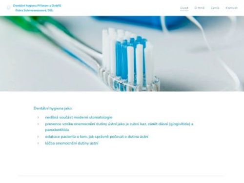 Dentální hygiena - Petra Schneeweissová, DiS.