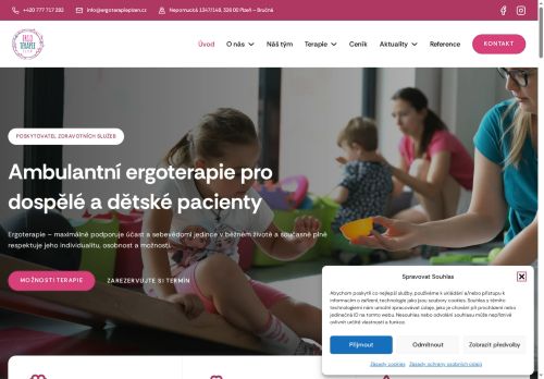 Zobrazit webové stránky Ergoterapie Plzeň – ErgoTeP