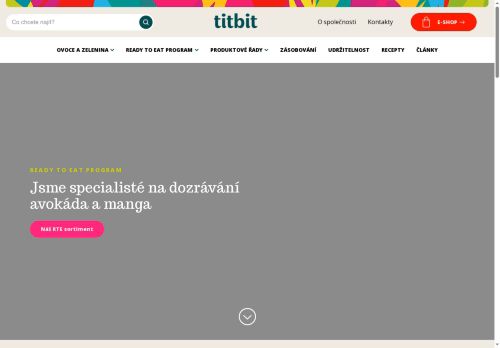 Webové stránky TITBIT, s.r.o., Čelákovice