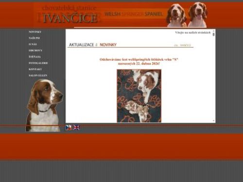 Chovatelská stanice Welsh Sprringer Spaniel Ivančice