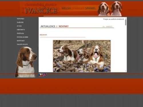 Chovatelská stanice Welsh Sprringer Spaniel Ivančice