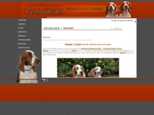 Chovatelská stanice Welsh Sprringer Spaniel Ivančice
