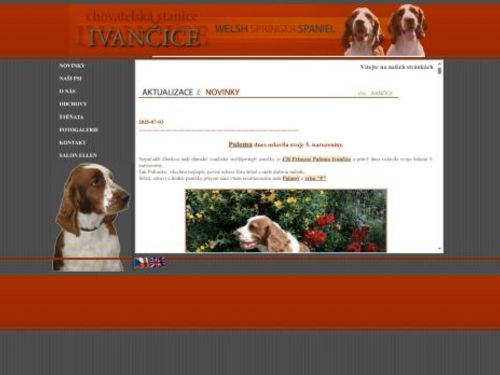 Chovatelská stanice Welsh Sprringer Spaniel Ivančice