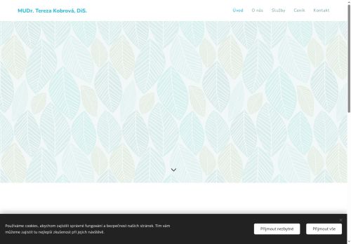 Zobrazit webové stránky Praktický lékař pro děti a dorost - MUDr. Tereza Kobrová, DiS.