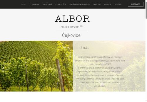 Webové stránky Bořivoj Damborský, Čejkovice