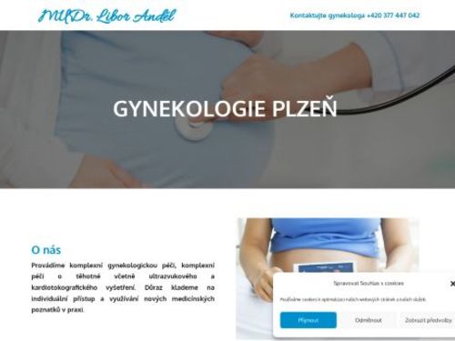 Gynekologická ambulance - MUDr. Libor Anděl