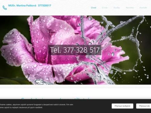 Gynekologická ambulance - MUDr. Martina Pašková