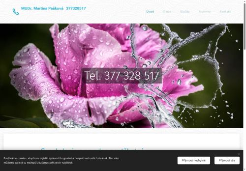 Zobrazit webové stránky Gynekologická ambulance - MUDr. Martina Pašková