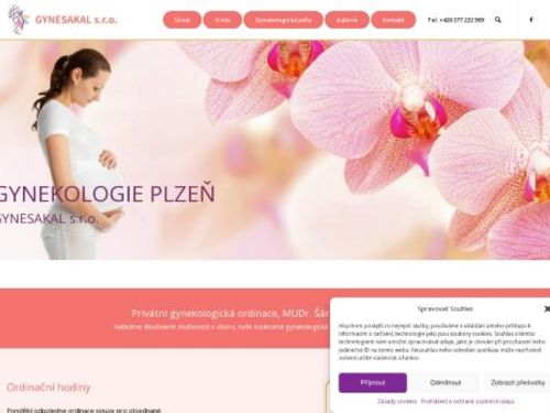 Gynekologická ambulance GYNESAKAL s.r.o. - MUDr. Šárka Kalašová