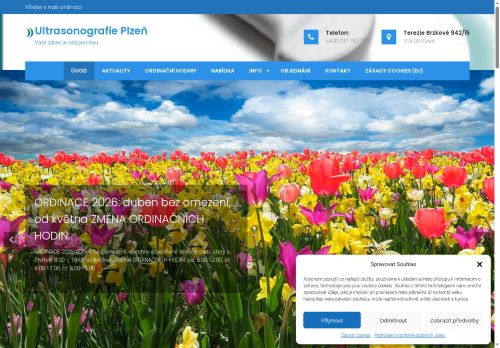 Zobrazit webové stránky Ultrasonografie Plzeň - MUDr. Ida Prokopová Faresová