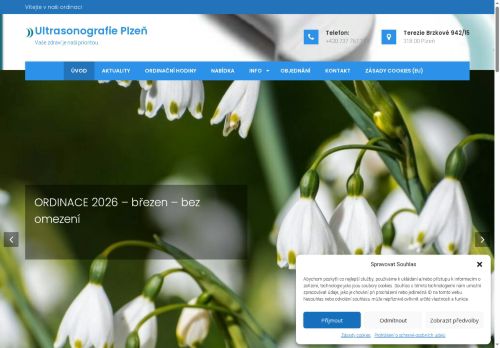 Zobrazit webové stránky Ultrasonografie Plzeň - MUDr. Ida Prokopová Faresová