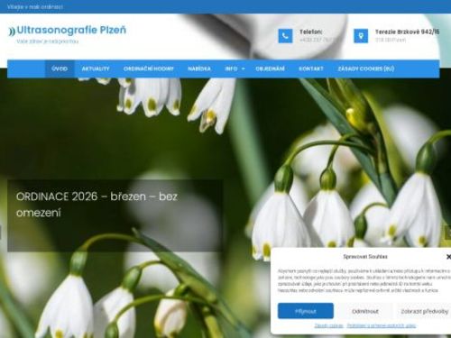 Ultrasonografie Plzeň - MUDr. Ida Prokopová Faresová