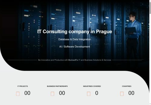Webové stránky Buinsoft Technology s.r.o., Praha