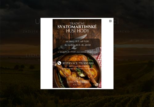 LD Hanak s.r.o. nabízí práci na pozici obsluha hotelové pivnice M/Ž v obci Bzenec