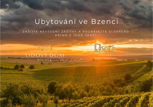 LD Hanak s.r.o. nabízí práci na pozici obsluha hotelové pivnice M/Ž v obci Bzenec