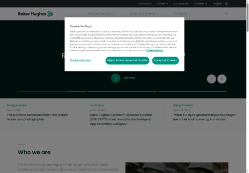 Webové stránky BRUSH SEM s.r.o., Plzeň