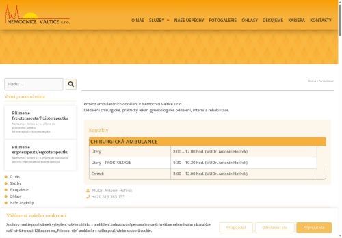 Zobrazit webové stránky Fyzioterapie Nemocnice Valtice