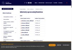 Zobrazit webové stránky Městský zpravodaj Radnice